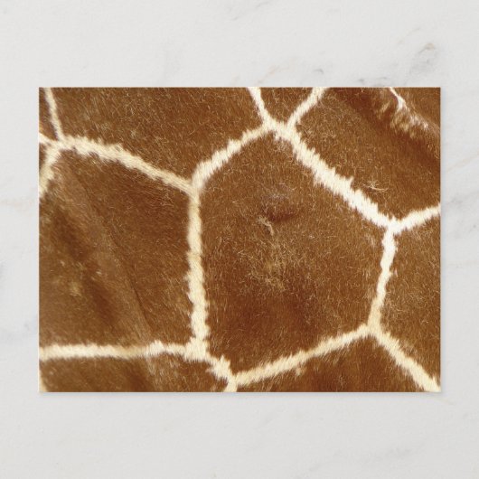 自然テクスチャ付きフォトキリンアニマルプリントパターン ポストカード (正面)