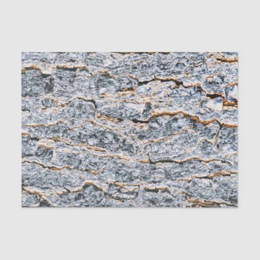 自然テクスチャ 薄葉紙 (正面)