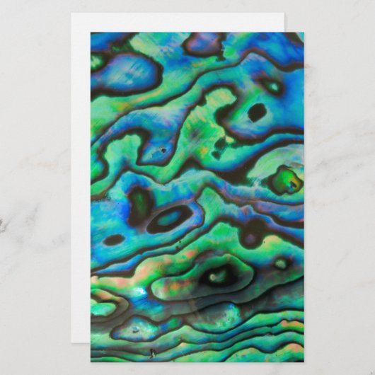 自然デザインパウアワラシェル 便箋 (正面/裏面)