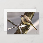 自然ノートカード サンキューカード (正面/裏面)