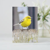 自然ノートカード サンキューカード (スタンド正面)