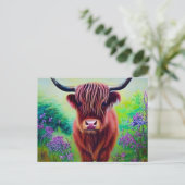 自然ハイランド牛 ポストカード (スタンド正面)