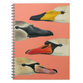 自然ハクチョウの多くの顔 ノートブック (正面)