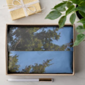 自然ハゲ・イーグル野生生物写真 薄葉紙 (ギフト)