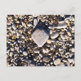 自然ハートカード ポストカード