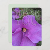 自然パープルハイビスカスフラワーサンキュー サンキューカード (正面/裏面)