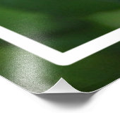 自然ピンクのバラ フォトプリント            (角)