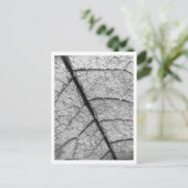 自然ファインアート撮影はがき ポストカード (スタンド正面)