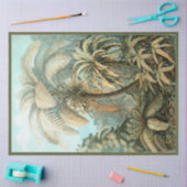 自然ファーンエルンストヘッケルデクページティッシュペーパー 薄葉紙 (クラフト)