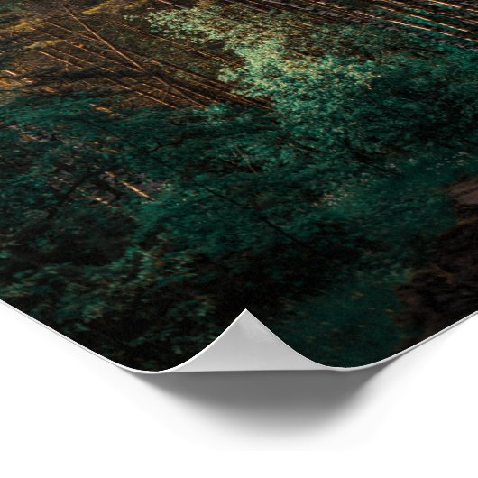 自然フォレスト樺の木ツリーズランドスケープベラルーシ ポスター (角)