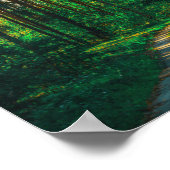 自然フォレスト樺の木ツリーズランドスケープ道路 ポスター (角)