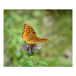 自然プリント フォトプリント           