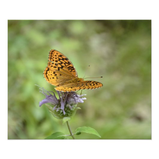 自然プリント フォトプリント (正面)