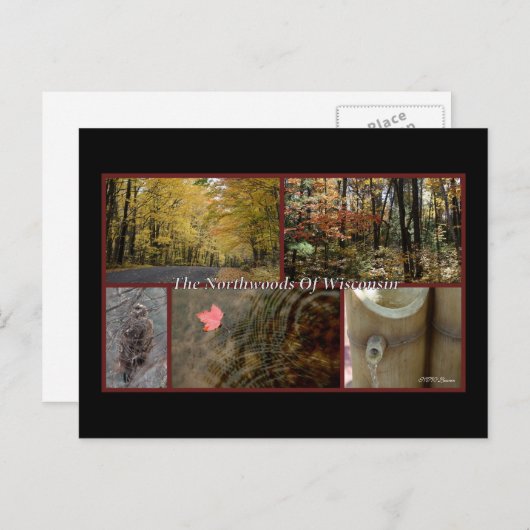 自然ポスターノースウッズウィスコンシン葉書 ポストカード (正面/裏面)