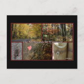 自然ポスターノースウッズウィスコンシン葉書 ポストカード (正面)