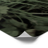 自然ポスター顔 ポスター (角)