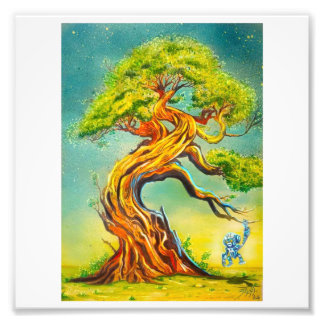 自然ポスター フォトプリント           