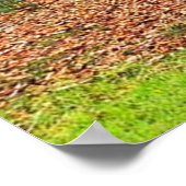 自然ポスター ポスター (角)