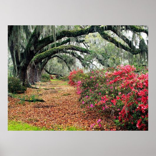 自然ポスター ポスター (正面)