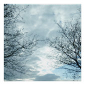 自然ポスター ポスター (正面)