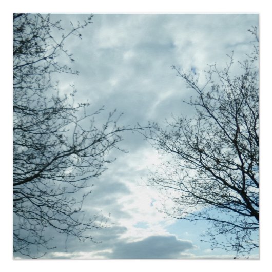 自然ポスター ポスター (正面)