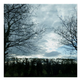 自然ポスター ポスター