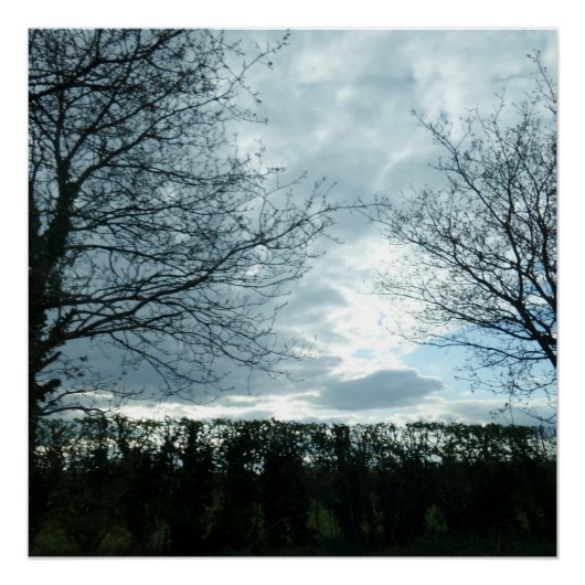 自然ポスター ポスター (正面)