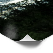 自然ポスター ポスター (コーナー)