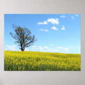 自然ポスター ポスター (正面)