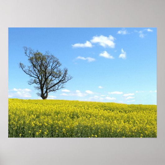 自然ポスター ポスター (正面)