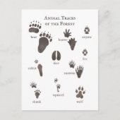 自然ポストカード森の動物のタック ポストカード (正面)