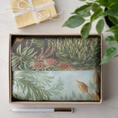 自然ムッシナエエルンストヘッケルデクページ 薄葉紙 (ギフト)