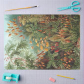 自然ムッシナエエルンストヘッケルデクページ 薄葉紙 (クラフト)