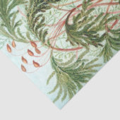 自然ムッシナエエルンストヘッケルデクページ 薄葉紙 (詳細)