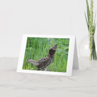 自然メモのカード サンキューカード