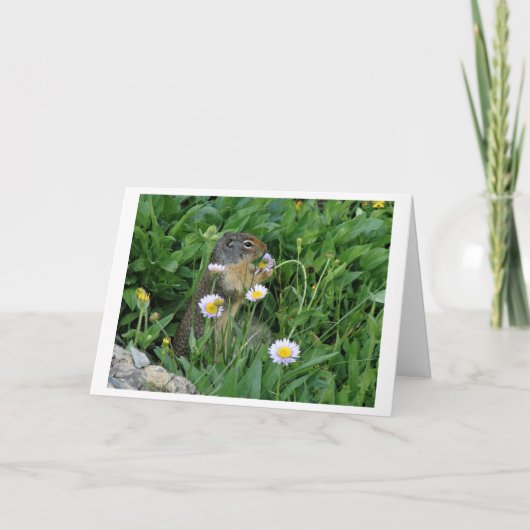 自然メモのカード サンキューカード (正面)