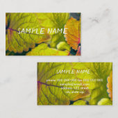 自然ライム葉グリー写真工場 名刺 (正面/裏面)