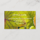 自然ライム葉グリー写真工場 名刺 (裏面)