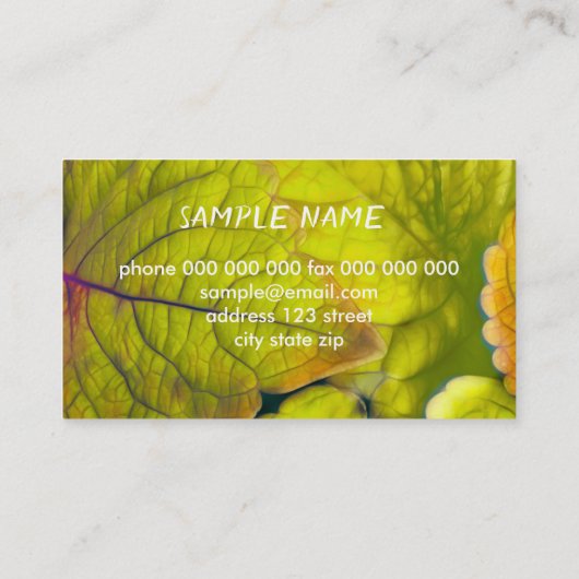 自然ライム葉グリー写真工場 名刺 (裏面)