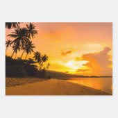 自然ラッインスパイアプ紙 ラッピングペーパーシート (正面)