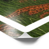 自然ランドスケープと湖とコテージ フォトプリント            (角)