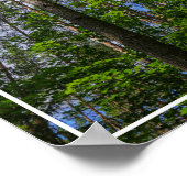 自然ランドスケープ森ベラルーシのポスター ポスター (角)