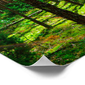 自然ランドスケープ森ベラルーシのポスター ポスター (角)