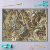 自然リザードエルンストヘッケルデクページ 薄葉紙 (クラフト)