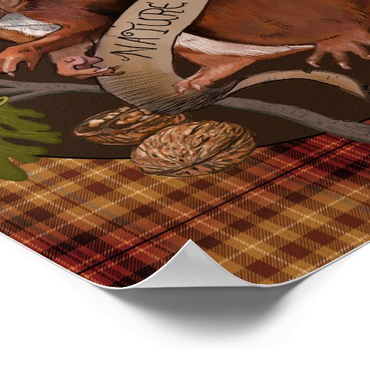 自然リス ポスター (角)