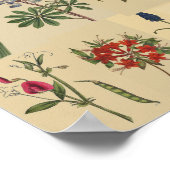 自然ヴィンテージボタニカルコラージュプリント ポスター (角)