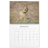 自然予定表 カレンダー (2月 2026)