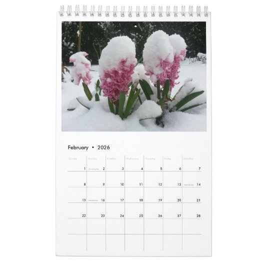 自然予定表 カレンダー (2月 2026)