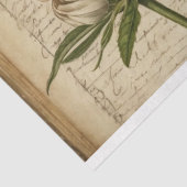 自然仕訳帳 薄葉紙 (詳細)