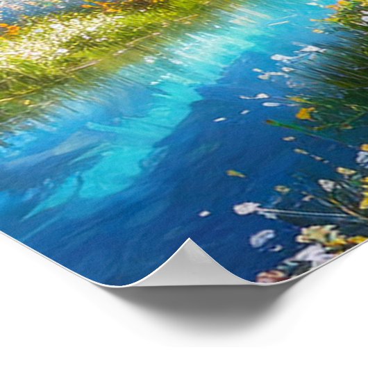 自然保護区 ポスター (角)